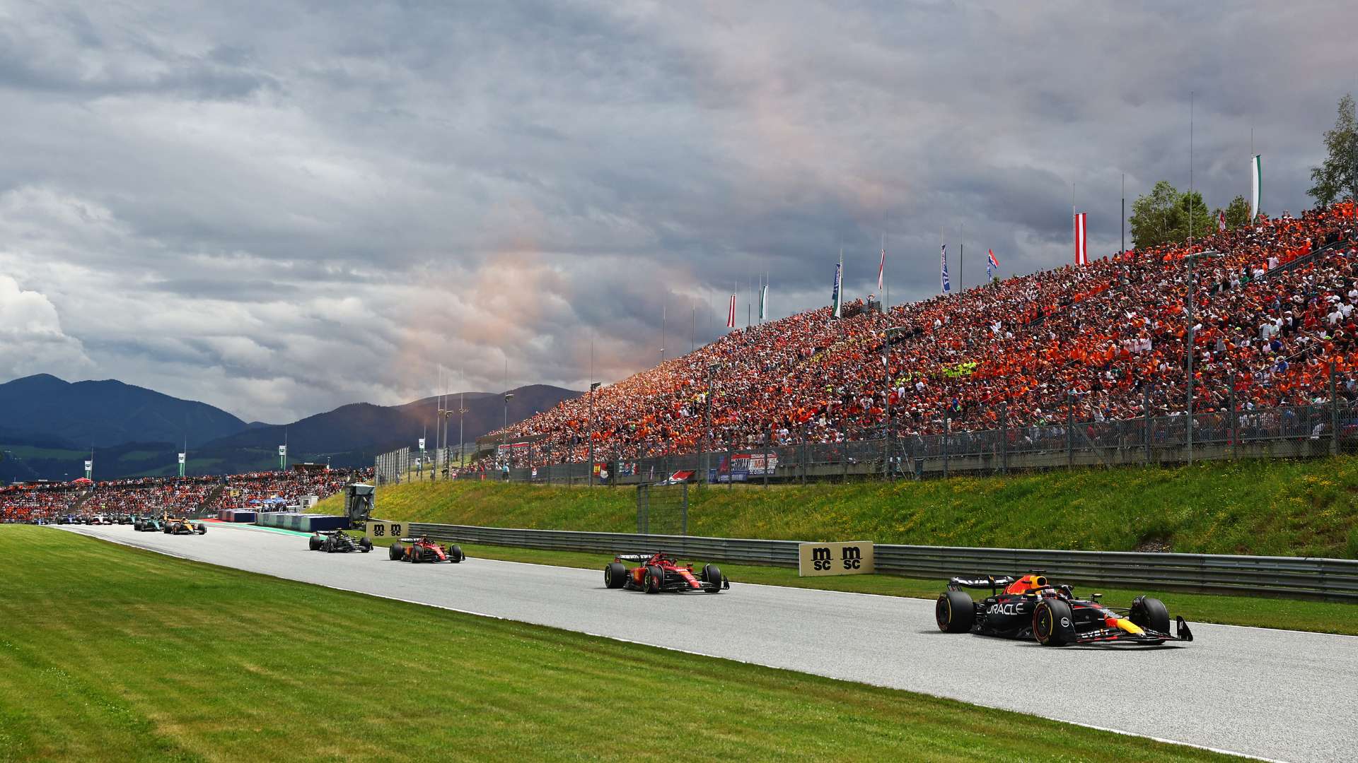 马奎尔的头 马奎尔的头