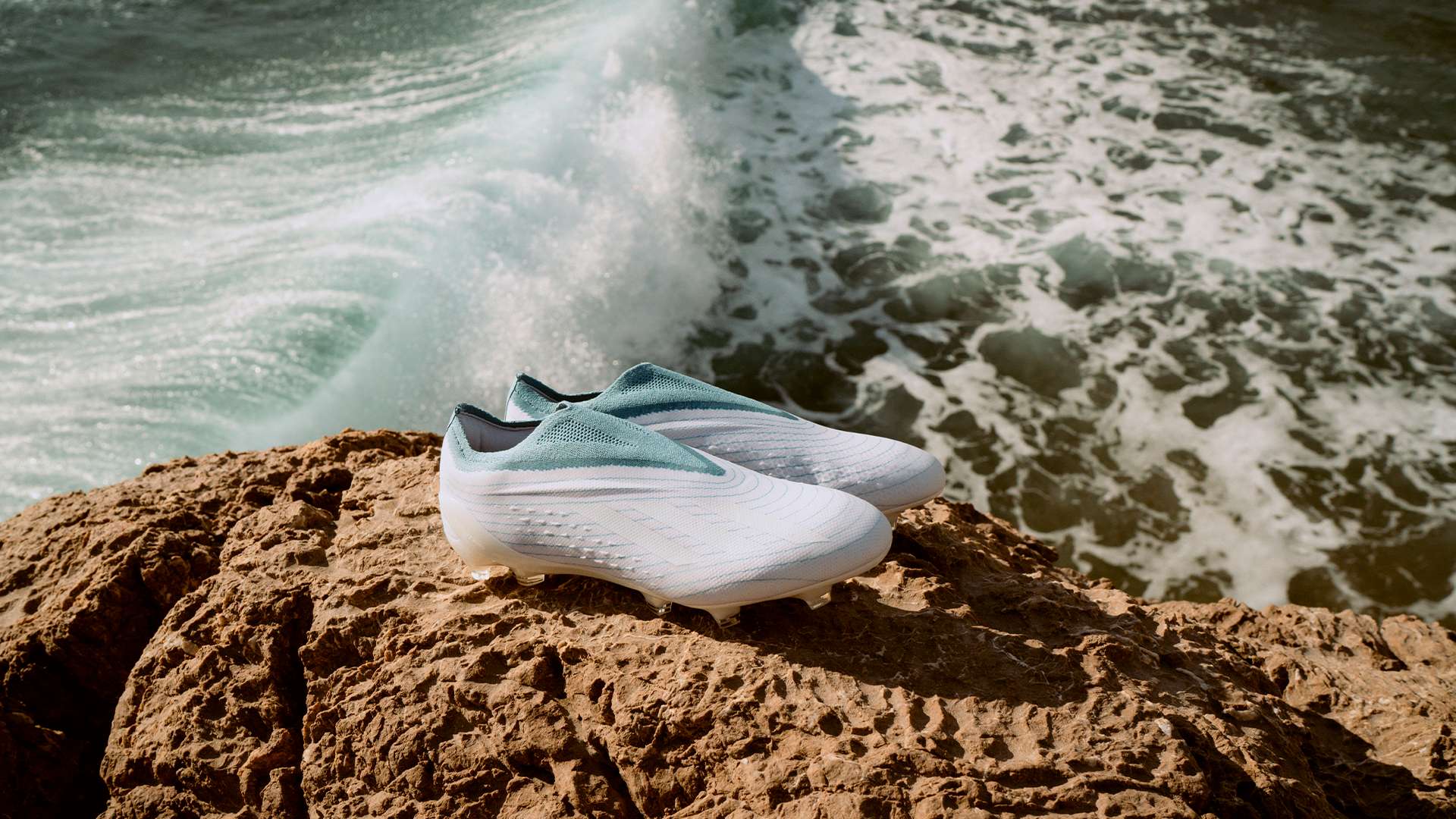 张家明的案 张家明的案