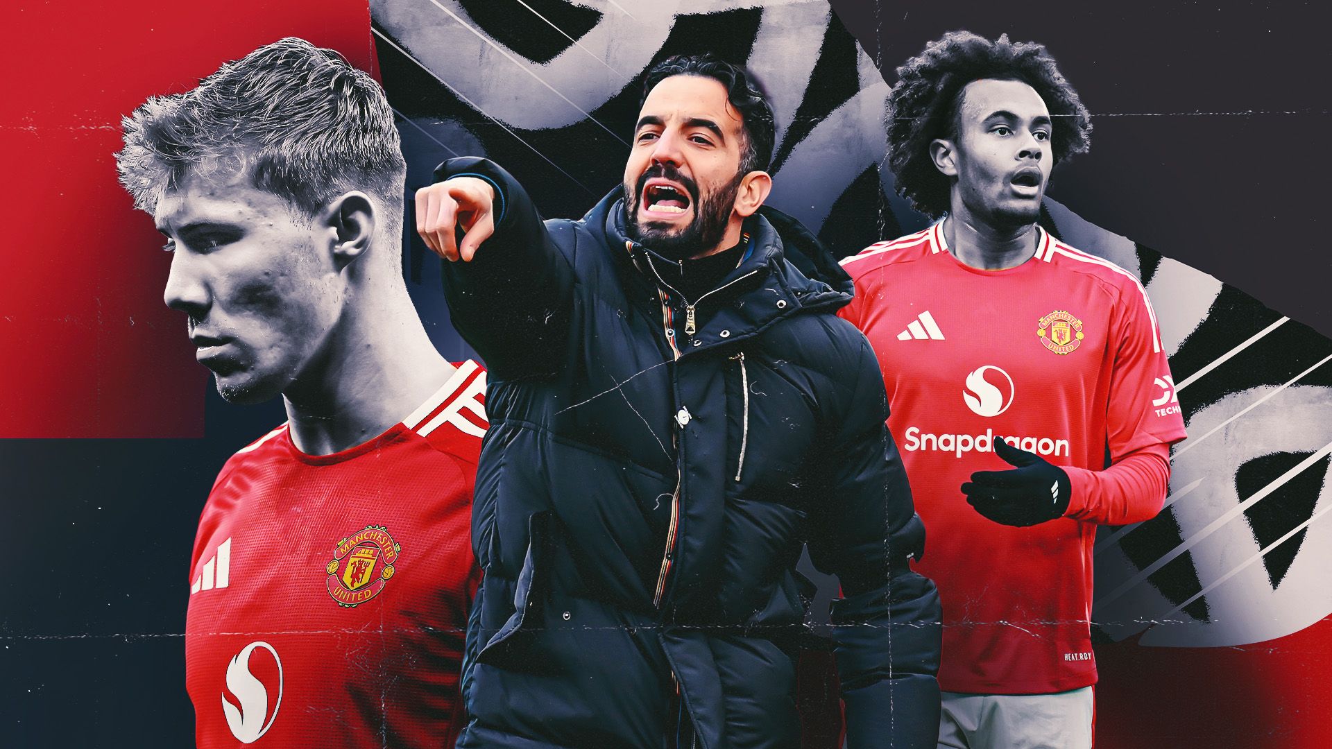 以杨皓宇的 以杨皓宇的